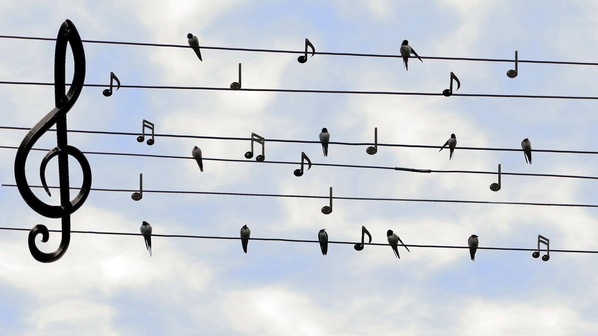 Birds and musical notes on telephone wires.
